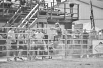 Binbrook Fair - Ram Rodeo Tour - Rodeo Photographer - Equine Photographer - Petes Photography or Petes Western - September 14 2024