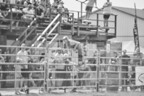 Binbrook Fair - Ram Rodeo Tour - Rodeo Photographer - Equine Photographer - Petes Photography or Petes Western - September 14 2024