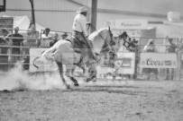 Binbrook Fair - Ram Rodeo Tour - Rodeo Photographer - Equine Photographer - Petes Photography or Petes Western - September 14 2024