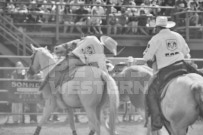 Binbrook Fair - Ram Rodeo Tour - Rodeo Photographer - Equine Photographer - Petes Photography or Petes Western - September 14 2024