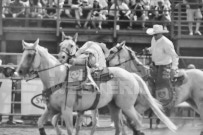 Binbrook Fair - Ram Rodeo Tour - Rodeo Photographer - Equine Photographer - Petes Photography or Petes Western - September 14 2024