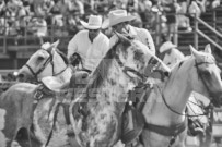 Binbrook Fair - Ram Rodeo Tour - Rodeo Photographer - Equine Photographer - Petes Photography or Petes Western - September 14 2024