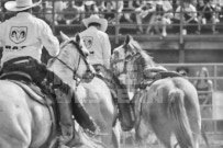 Binbrook Fair - Ram Rodeo Tour - Rodeo Photographer - Equine Photographer - Petes Photography or Petes Western - September 14 2024