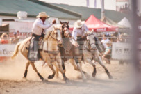 Binbrook Fair - Ram Rodeo Tour - Rodeo Photographer - Equine Photographer - Petes Photography or Petes Western - September 14 2024