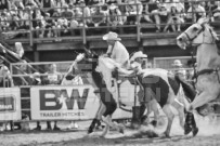 Binbrook Fair - Ram Rodeo Tour - Rodeo Photographer - Equine Photographer - Petes Photography or Petes Western - September 14 2024