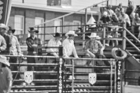 Binbrook Fair - Ram Rodeo Tour - Rodeo Photographer - Equine Photographer - Petes Photography or Petes Western - September 14 2024