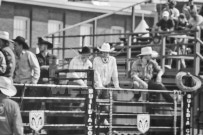 Binbrook Fair - Ram Rodeo Tour - Rodeo Photographer - Equine Photographer - Petes Photography or Petes Western - September 14 2024