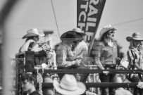 Binbrook Fair - Ram Rodeo Tour - Rodeo Photographer - Equine Photographer - Petes Photography or Petes Western - September 14 2024