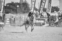 Binbrook Fair - Ram Rodeo Tour - Rodeo Photographer - Equine Photographer - Petes Photography or Petes Western - September 14 2024