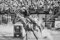 Binbrook Fair - Ram Rodeo Tour - Rodeo Photographer - Equine Photographer - Petes Photography or Petes Western - September 14 2024