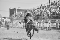 Binbrook Fair - Ram Rodeo Tour - Rodeo Photographer - Equine Photographer - Petes Photography or Petes Western - September 14 2024