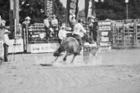 Binbrook Fair - Ram Rodeo Tour - Rodeo Photographer - Equine Photographer - Petes Photography or Petes Western - September 14 2024