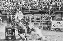 Binbrook Fair - Ram Rodeo Tour - Rodeo Photographer - Equine Photographer - Petes Photography or Petes Western - September 14 2024