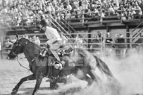 Binbrook Fair - Ram Rodeo Tour - Rodeo Photographer - Equine Photographer - Petes Photography or Petes Western - September 14 2024