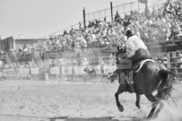 Binbrook Fair - Ram Rodeo Tour - Rodeo Photographer - Equine Photographer - Petes Photography or Petes Western - September 14 2024