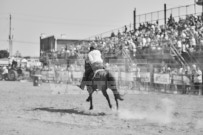 Binbrook Fair - Ram Rodeo Tour - Rodeo Photographer - Equine Photographer - Petes Photography or Petes Western - September 14 2024