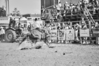 Binbrook Fair - Ram Rodeo Tour - Rodeo Photographer - Equine Photographer - Petes Photography or Petes Western - September 14 2024