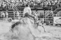 Binbrook Fair - Ram Rodeo Tour - Rodeo Photographer - Equine Photographer - Petes Photography or Petes Western - September 14 2024