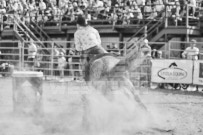 Binbrook Fair - Ram Rodeo Tour - Rodeo Photographer - Equine Photographer - Petes Photography or Petes Western - September 14 2024