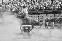 Binbrook Fair - Ram Rodeo Tour - Rodeo Photographer - Equine Photographer - Petes Photography or Petes Western - September 14 2024