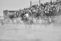 Binbrook Fair - Ram Rodeo Tour - Rodeo Photographer - Equine Photographer - Petes Photography or Petes Western - September 14 2024