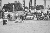 Binbrook Fair - Ram Rodeo Tour - Rodeo Photographer - Equine Photographer - Petes Photography or Petes Western - September 14 2024