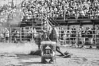 Binbrook Fair - Ram Rodeo Tour - Rodeo Photographer - Equine Photographer - Petes Photography or Petes Western - September 14 2024