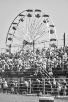 Binbrook Fair - Ram Rodeo Tour - Rodeo Photographer - Equine Photographer - Petes Photography or Petes Western - September 14 2024