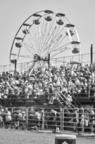 Binbrook Fair - Ram Rodeo Tour - Rodeo Photographer - Equine Photographer - Petes Photography or Petes Western - September 14 2024