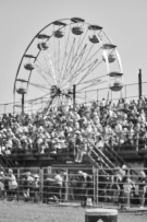 Binbrook Fair - Ram Rodeo Tour - Rodeo Photographer - Equine Photographer - Petes Photography or Petes Western - September 14 2024