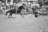 Binbrook Fair - Ram Rodeo Tour - Rodeo Photographer - Equine Photographer - Petes Photography or Petes Western - September 14 2024