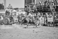 Binbrook Fair - Ram Rodeo Tour - Rodeo Photographer - Equine Photographer - Petes Photography or Petes Western - September 14 2024