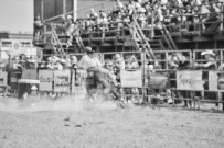 Binbrook Fair - Ram Rodeo Tour - Rodeo Photographer - Equine Photographer - Petes Photography or Petes Western - September 14 2024