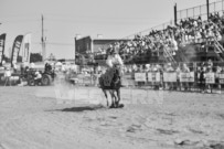 Binbrook Fair - Ram Rodeo Tour - Rodeo Photographer - Equine Photographer - Petes Photography or Petes Western - September 14 2024