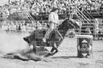 Binbrook Fair - Ram Rodeo Tour - Rodeo Photographer - Equine Photographer - Petes Photography or Petes Western - September 14 2024