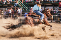 Binbrook Fair - Ram Rodeo Tour - Rodeo Photographer - Equine Photographer - Petes Photography or Petes Western - September 14 2024