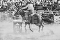 Binbrook Fair - Ram Rodeo Tour - Rodeo Photographer - Equine Photographer - Petes Photography or Petes Western - September 14 2024