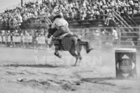 Binbrook Fair - Ram Rodeo Tour - Rodeo Photographer - Equine Photographer - Petes Photography or Petes Western - September 14 2024