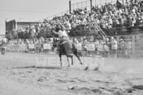 Binbrook Fair - Ram Rodeo Tour - Rodeo Photographer - Equine Photographer - Petes Photography or Petes Western - September 14 2024