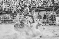 Binbrook Fair - Ram Rodeo Tour - Rodeo Photographer - Equine Photographer - Petes Photography or Petes Western - September 14 2024