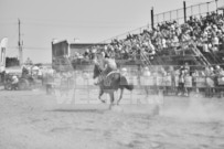 Binbrook Fair - Ram Rodeo Tour - Rodeo Photographer - Equine Photographer - Petes Photography or Petes Western - September 14 2024