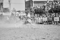 Binbrook Fair - Ram Rodeo Tour - Rodeo Photographer - Equine Photographer - Petes Photography or Petes Western - September 14 2024