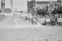 Binbrook Fair - Ram Rodeo Tour - Rodeo Photographer - Equine Photographer - Petes Photography or Petes Western - September 14 2024