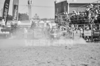 Binbrook Fair - Ram Rodeo Tour - Rodeo Photographer - Equine Photographer - Petes Photography or Petes Western - September 14 2024