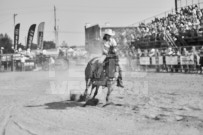 Binbrook Fair - Ram Rodeo Tour - Rodeo Photographer - Equine Photographer - Petes Photography or Petes Western - September 14 2024