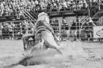 Binbrook Fair - Ram Rodeo Tour - Rodeo Photographer - Equine Photographer - Petes Photography or Petes Western - September 14 2024