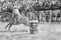 Binbrook Fair - Ram Rodeo Tour - Rodeo Photographer - Equine Photographer - Petes Photography or Petes Western - September 14 2024