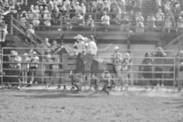 Binbrook Fair - Ram Rodeo Tour - Rodeo Photographer - Equine Photographer - Petes Photography or Petes Western - September 14 2024