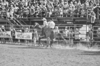 Binbrook Fair - Ram Rodeo Tour - Rodeo Photographer - Equine Photographer - Petes Photography or Petes Western - September 14 2024