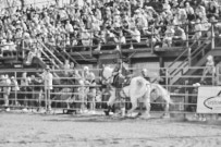 Binbrook Fair - Ram Rodeo Tour - Rodeo Photographer - Equine Photographer - Petes Photography or Petes Western - September 14 2024